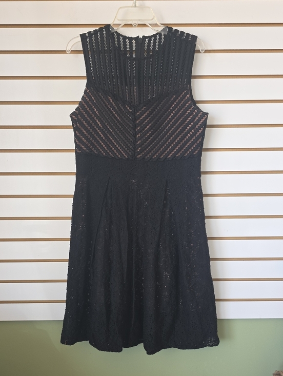 New York & Company Dresses & Skirts - NY&Co Lace Fit-and-Flare Dress Lg